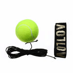 Speed Punch Ball