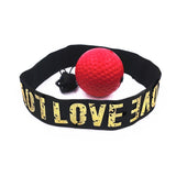 Speed Punch Ball
