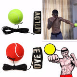Speed Punch Ball