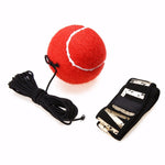 Speed Punch Ball
