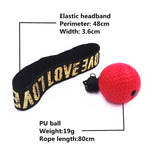 Speed Punch Ball